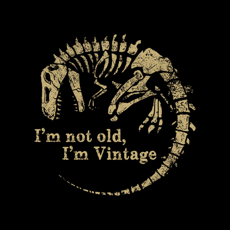 I'm Not Old, I'm Vintage Geek T-Shirt