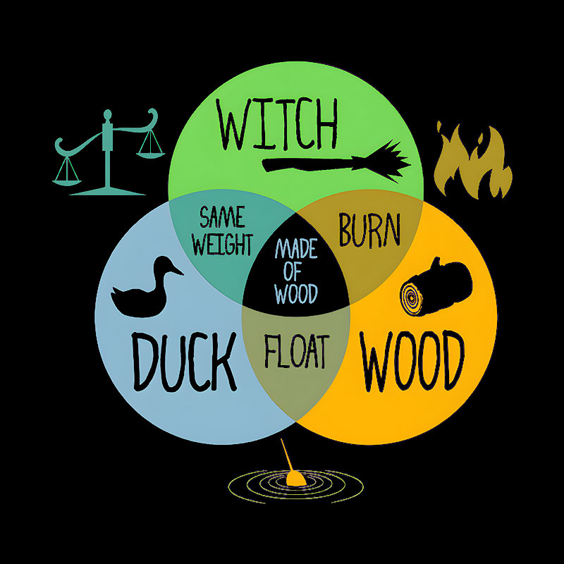 Witch Identification Geek T-Shirt