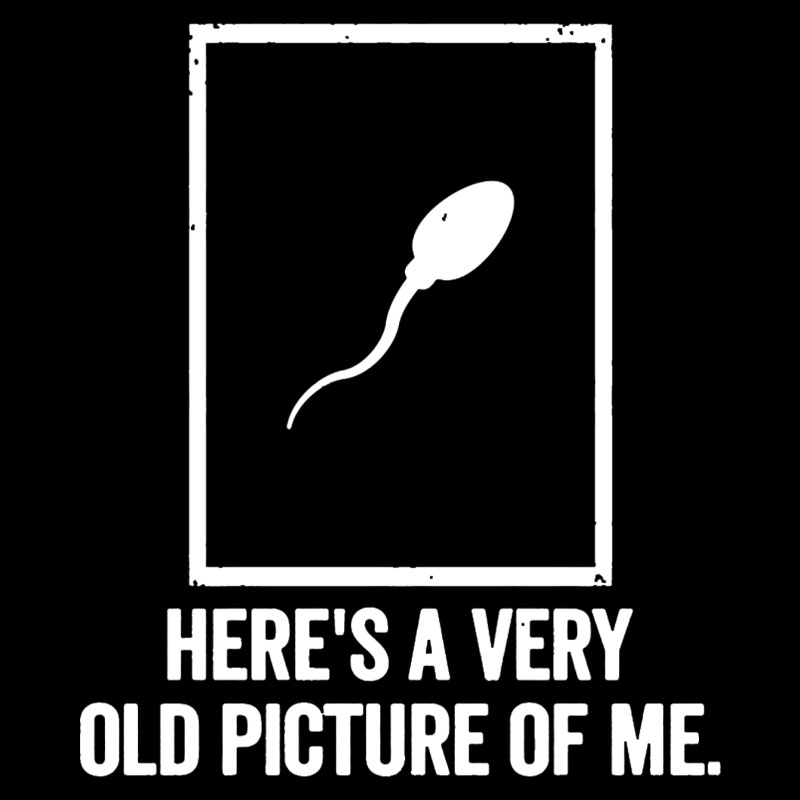 Here's A Very Old Picture Of Me Geek T-Shirt