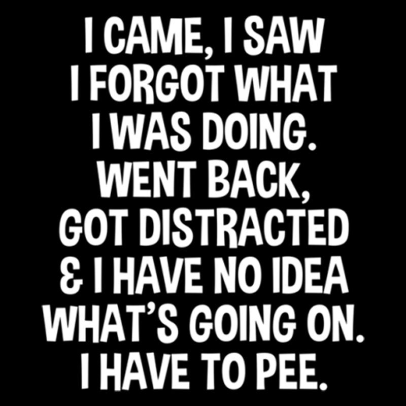 I Came I Saw I Forgot What I Was Doing Geek T-Shirt