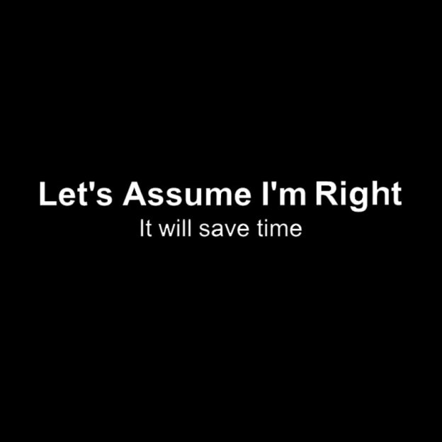 Let's Assume I��m Right Geek T-Shirt