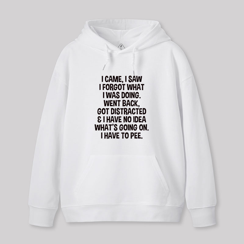 I Came I Saw I Forgot What I Was Doing Geek Hoodie