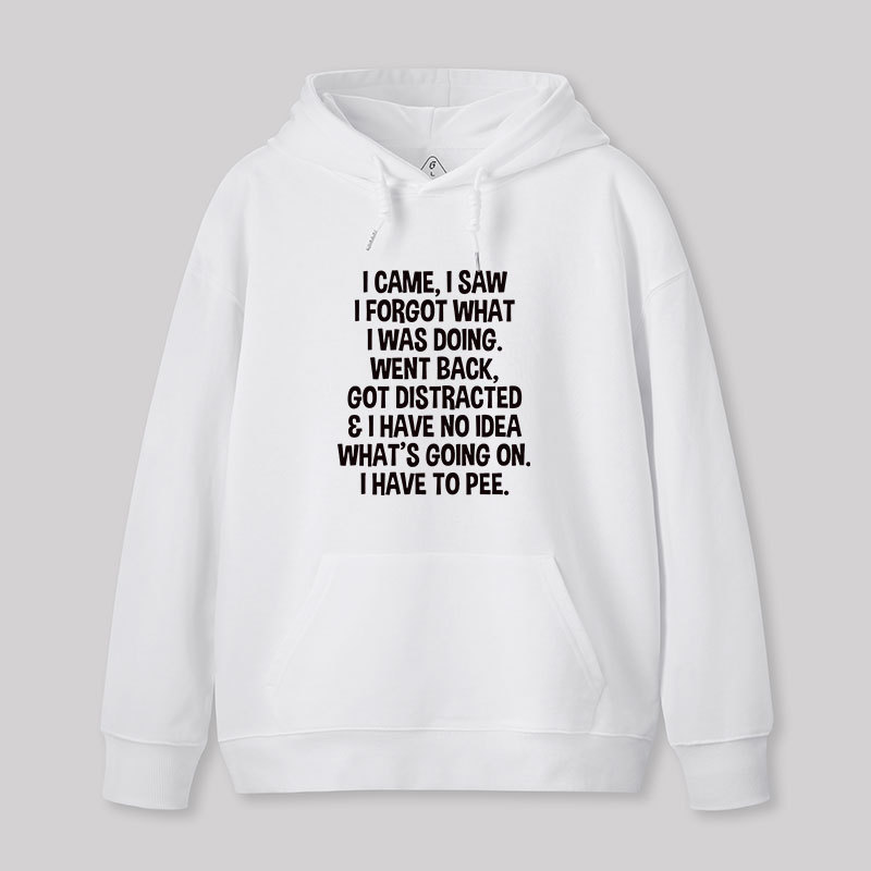 I Came I Saw I Forgot What I Was Doing Geek Hoodie