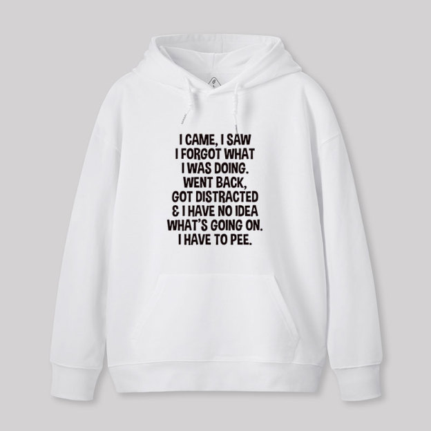 I Came I Saw I Forgot What I Was Doing Geek Hoodie