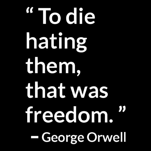 To Die Hating Them That Was Freedom Geek T-Shirt