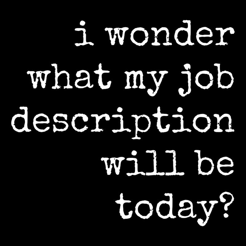 Job Description Geek T-Shirt