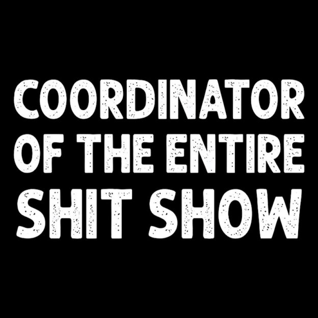 Coordinator of the Entire Shit Show Geek T-Shirt
