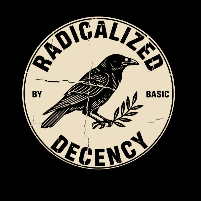 Radicalized By Basic Decency Geek T-Shirt