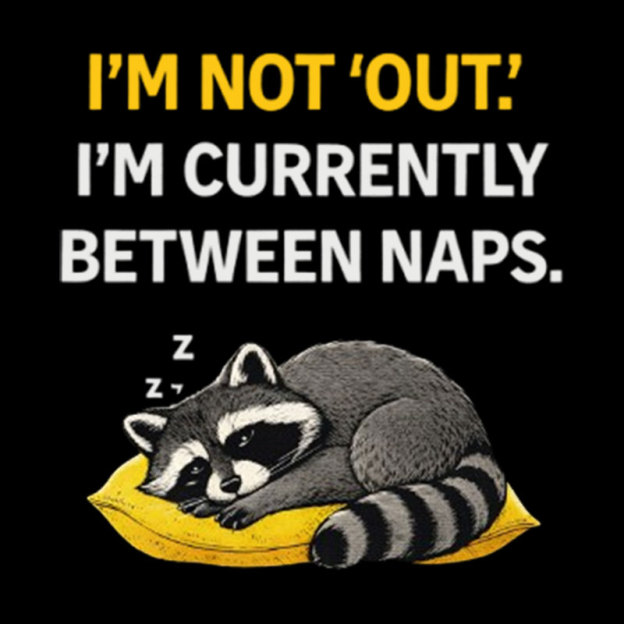 I��m Currently Between Naps Geek T-Shirt