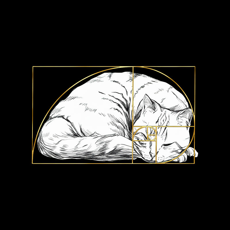 Perfect Ratio Geek T-Shirt