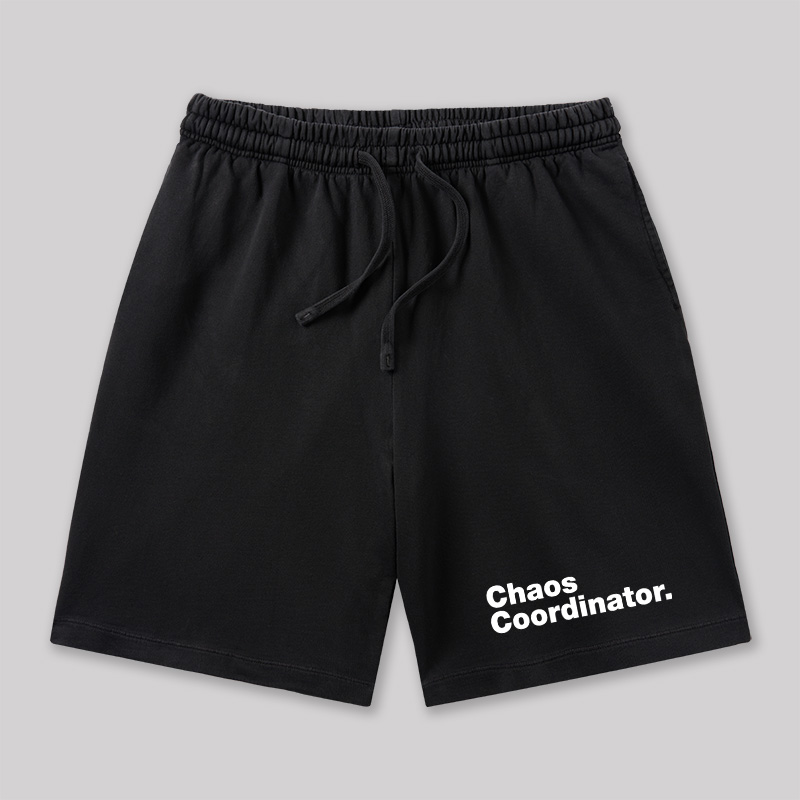 Chaos Coordinator Geeky Washed Shorts