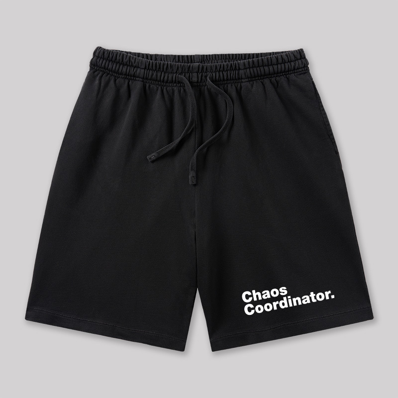 Chaos Coordinator Geeky Washed Shorts