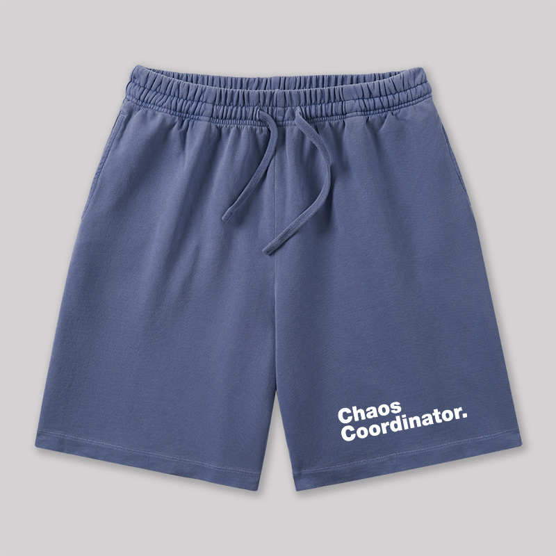 Chaos Coordinator Geeky Washed Shorts
