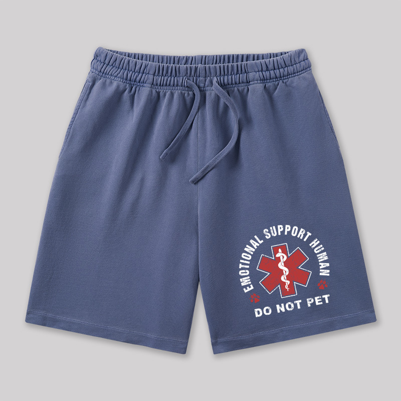 Emotional Support Geeky Washed Shorts