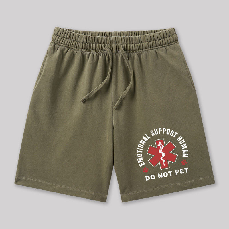 Emotional Support Geeky Washed Shorts