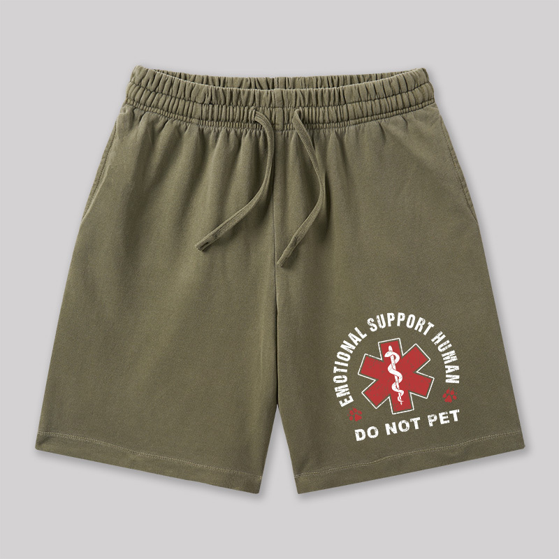 Emotional Support Geeky Washed Shorts