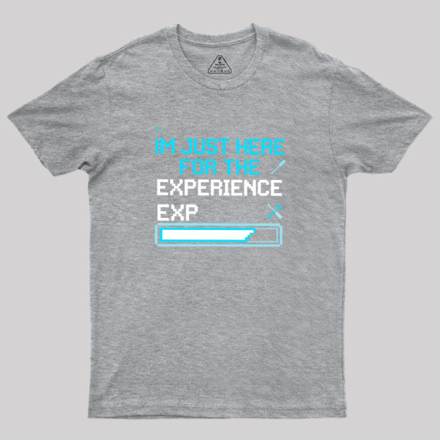 Leveling Up IRL Geek T-Shirt