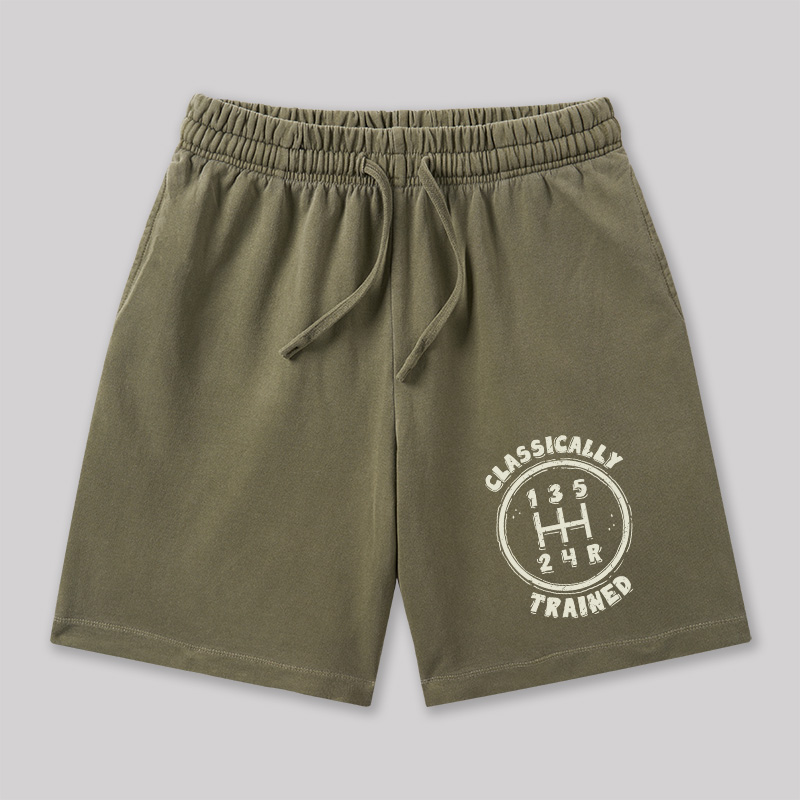 Classically Trained Geeky Washed Shorts