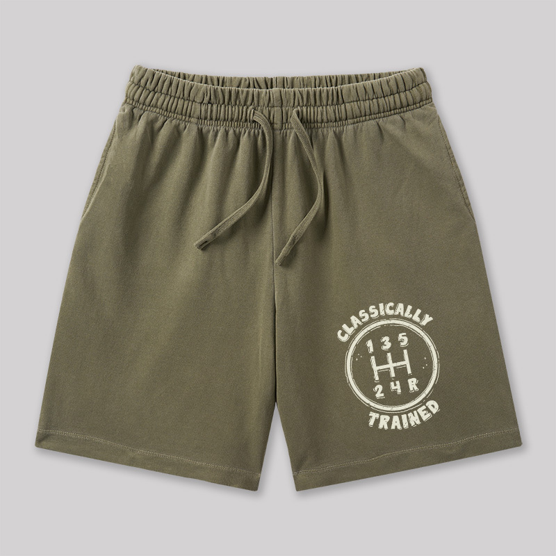 Classically Trained Geeky Washed Shorts