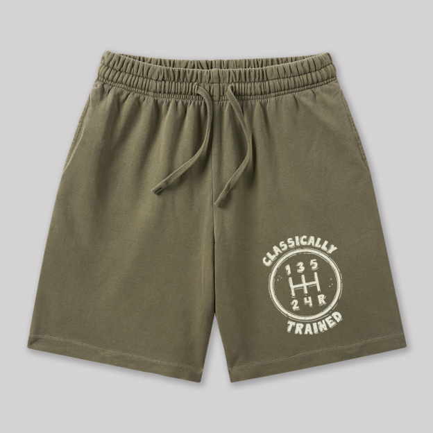 Classically Trained Geeky Washed Shorts
