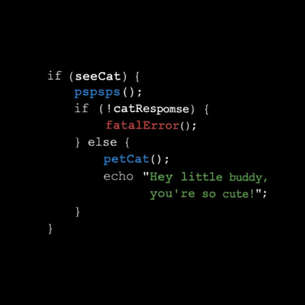 If See Cat Code Geek T-Shirt