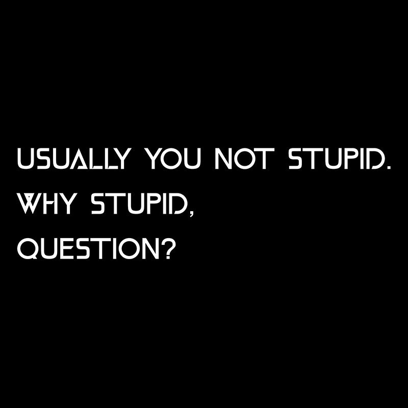 Why Stupid Question Geek T-Shirt