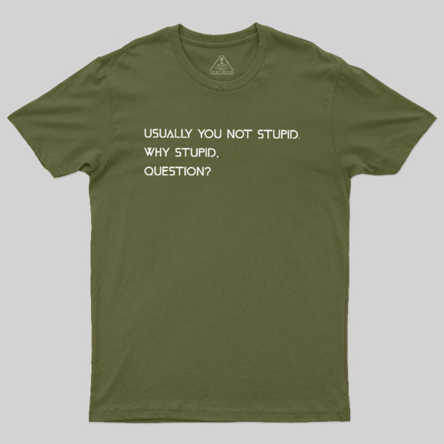 Why Stupid Question Geek T-Shirt