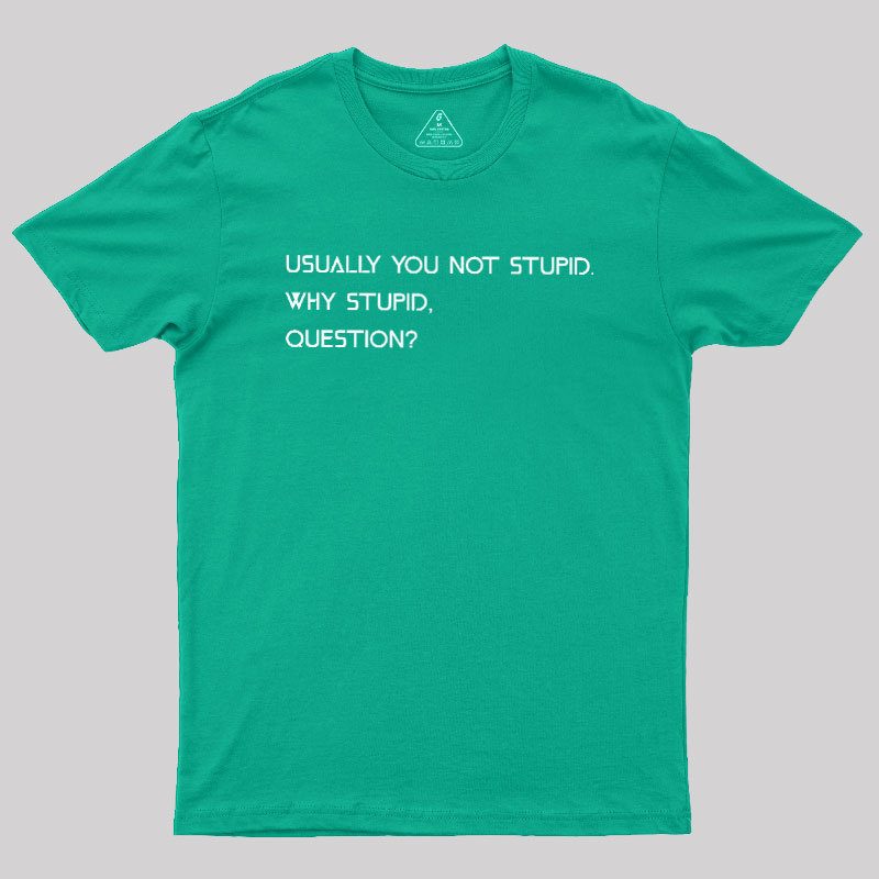 Why Stupid Question Geek T-Shirt