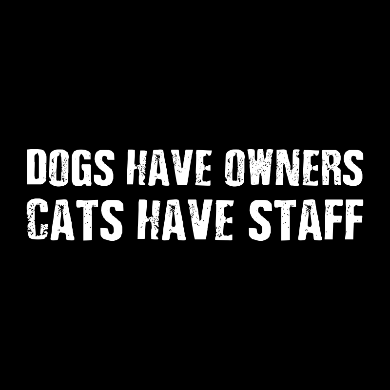 Cat Supremacy Geek T-Shirt