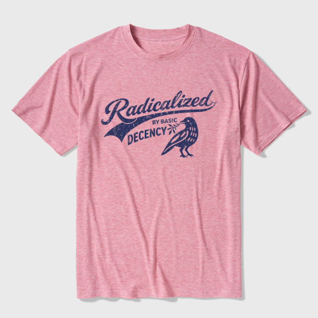 Radicalized By Basic Decency Ultra Soft Heather Tee