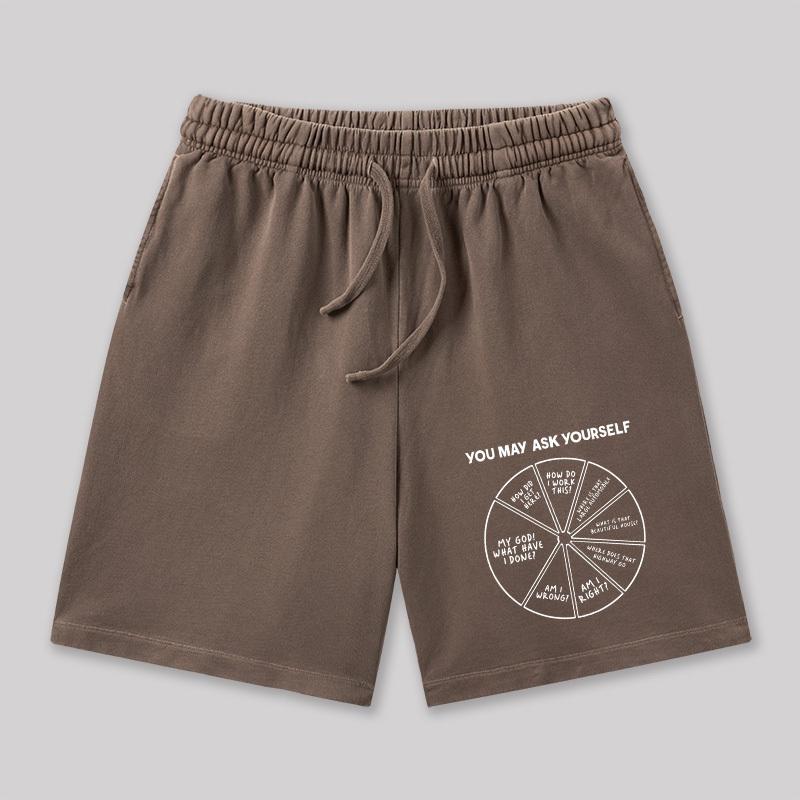 You May Ask Yourself Geeky Washed Shorts