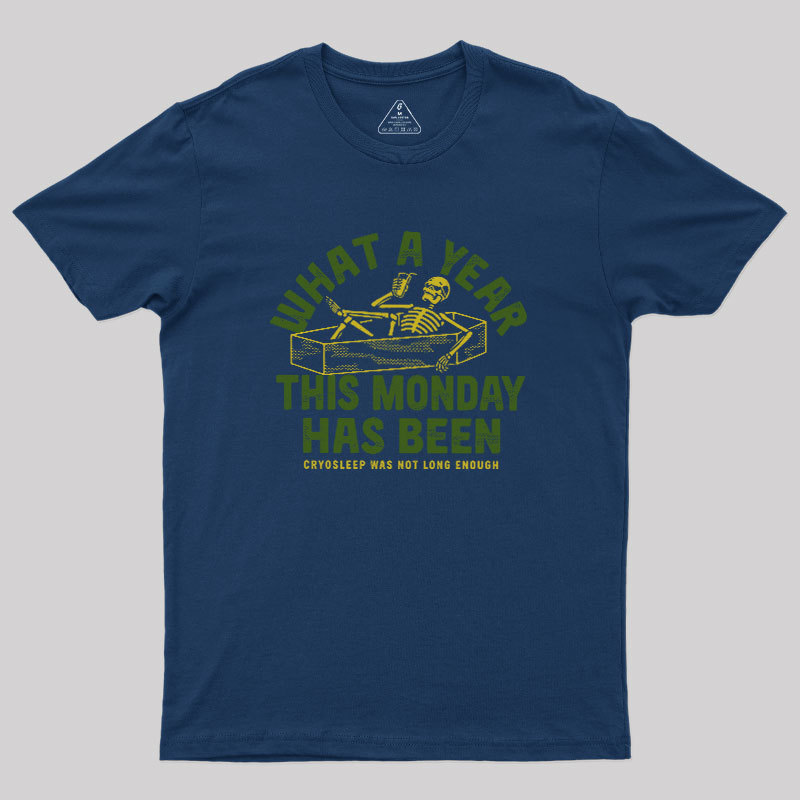 What A Year This Monday Has Been Geek T-Shirt