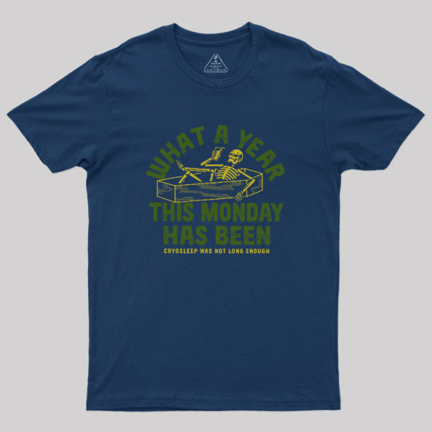 What A Year This Monday Has Been Geek T-Shirt