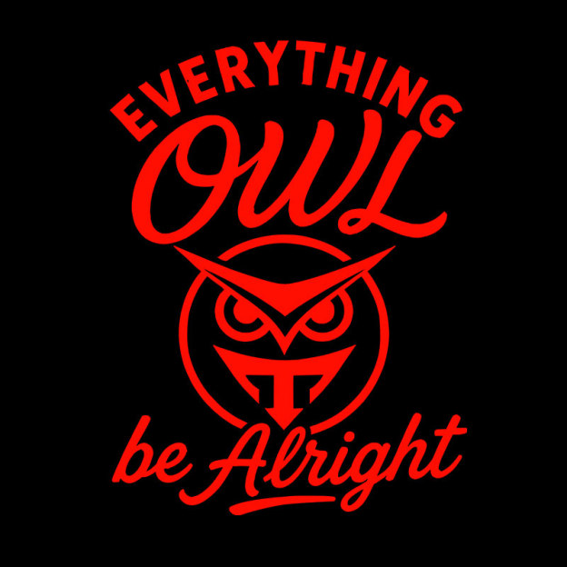 Everything Owl Be Alright Geek T-Shirt
