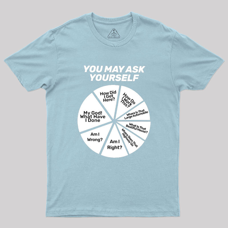 You May Ask Yourself Geek T-Shirt