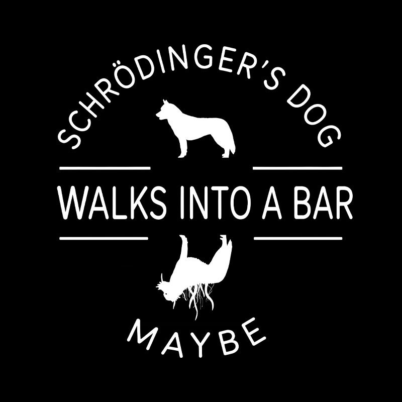 Schrodinger's Dog Walks Into A Bar Geek T-Shirt