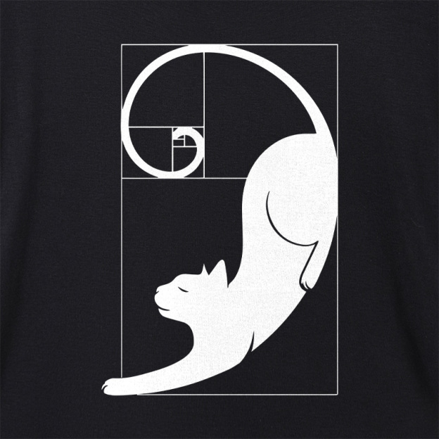 Fibonacci Kitty Geek Dolman Sleeve V-Neck Shirt