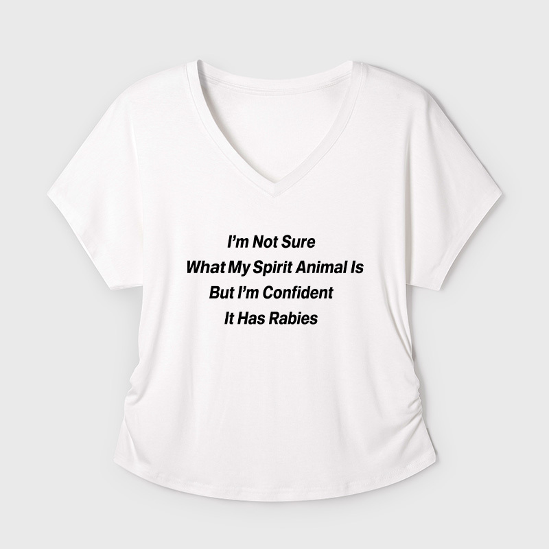 I'm Not Sure What My Spirit Geek Dolman Sleeve V-Neck Shirt