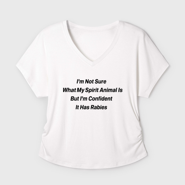 I'm Not Sure What My Spirit Geek Dolman Sleeve V-Neck Shirt