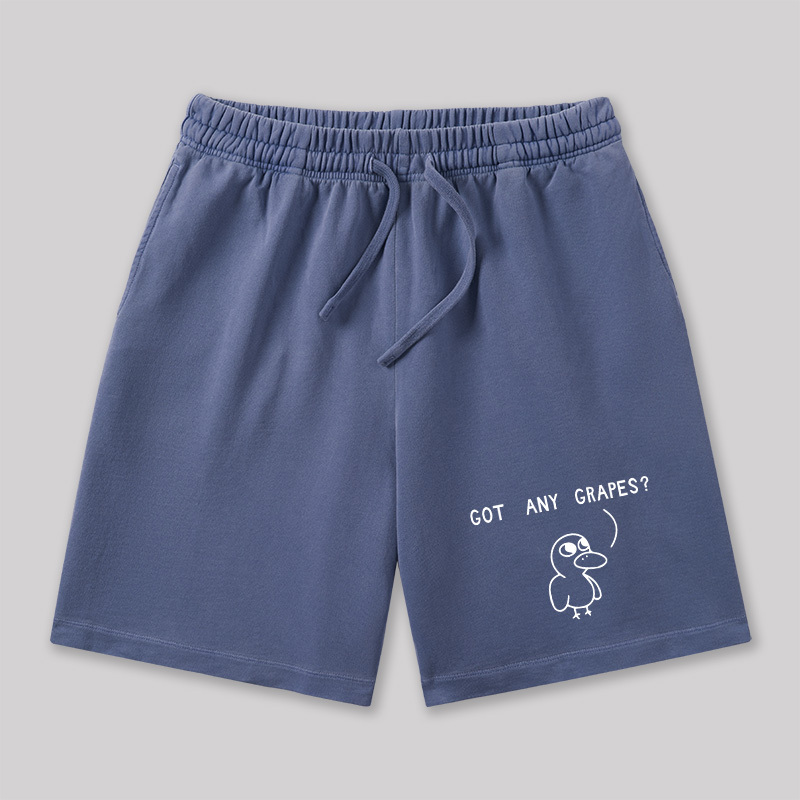 Got Any Grapes Geeky Washed Shorts