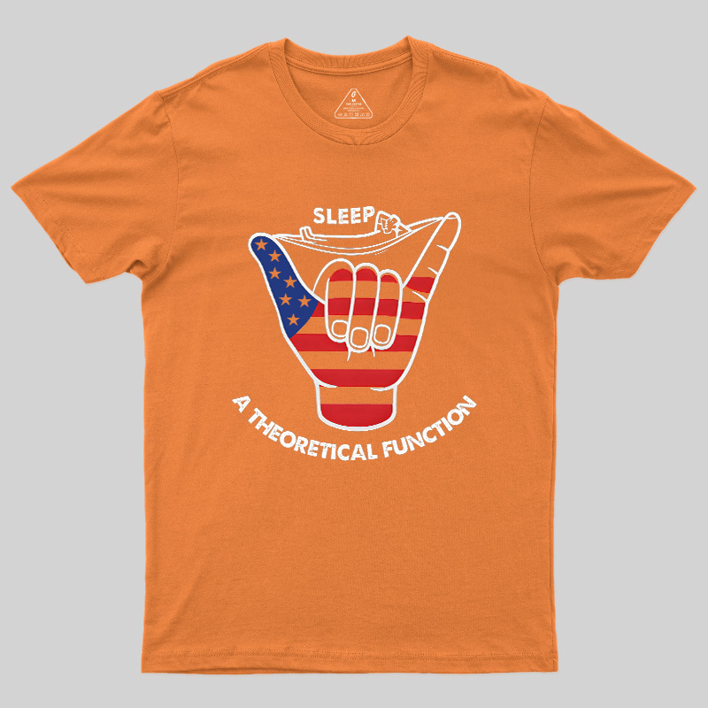 A Theoretical Function Geek T-Shirt