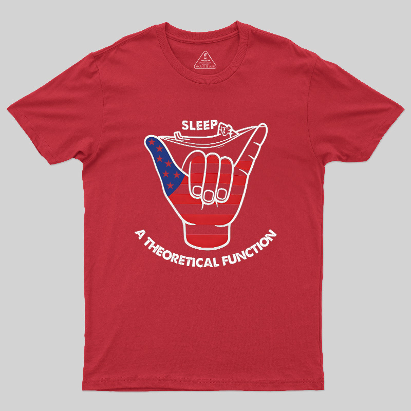 A Theoretical Function Geek T-Shirt