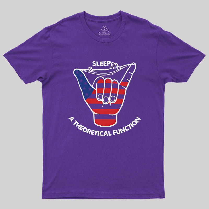 A Theoretical Function Geek T-Shirt