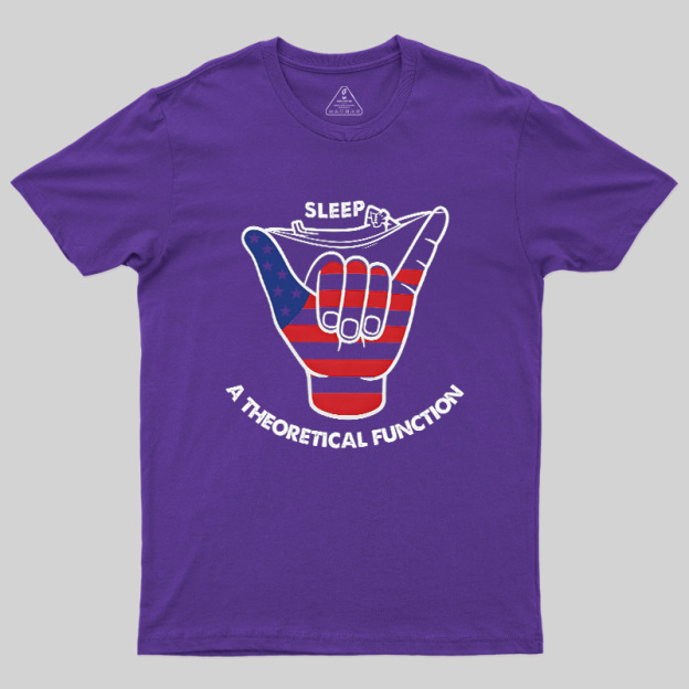A Theoretical Function Geek T-Shirt