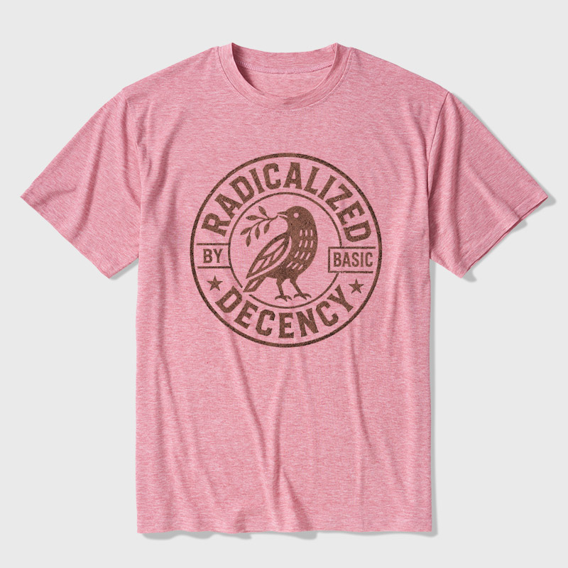 Radicalized By Basic Decency Ultra Soft Heather Tee