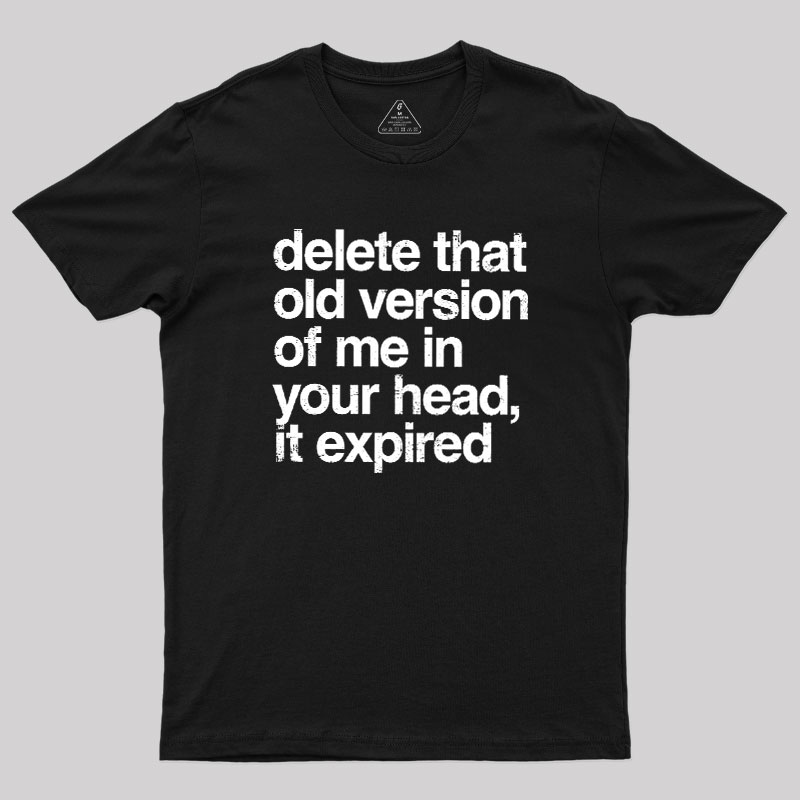 Delete That Old Version Geek T-Shirt