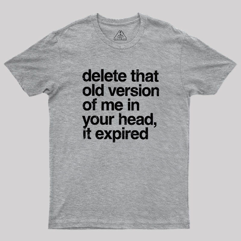 Delete That Old Version Geek T-Shirt