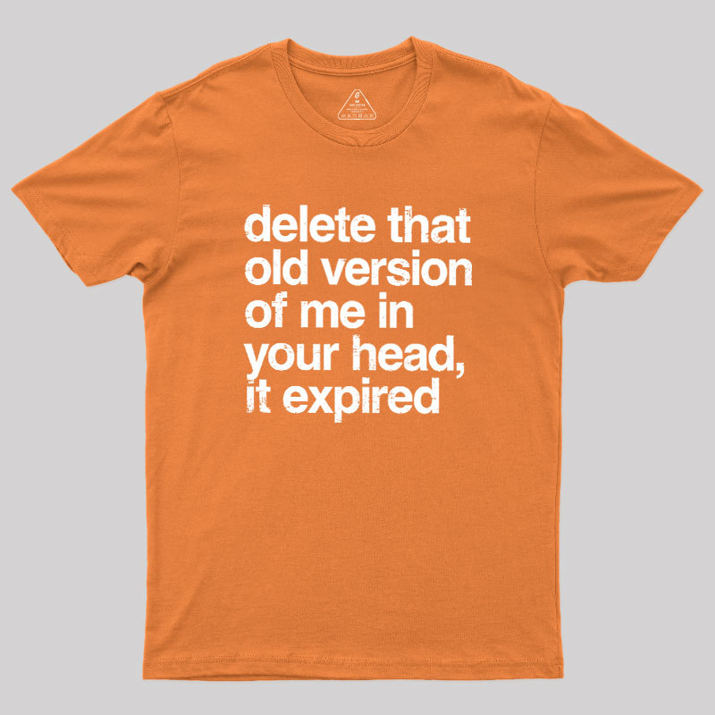 Delete That Old Version Geek T-Shirt