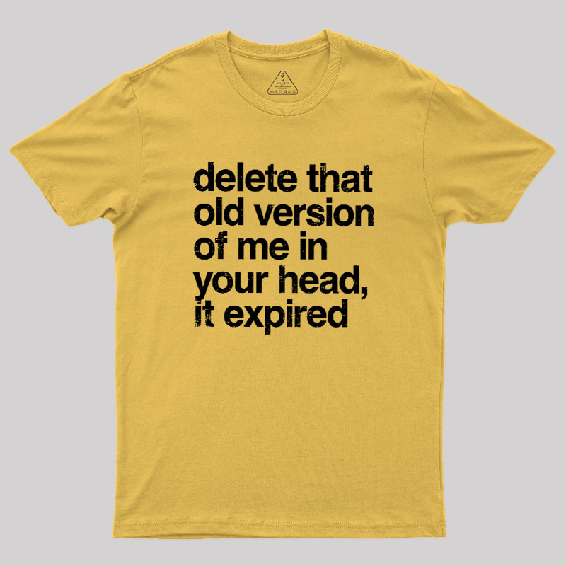 Delete That Old Version Geek T-Shirt