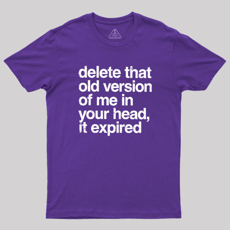 Delete That Old Version Geek T-Shirt